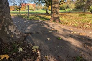 uneven path that makes it hard for disabled people to access green spaces