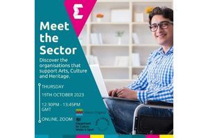 meet the sector webinar